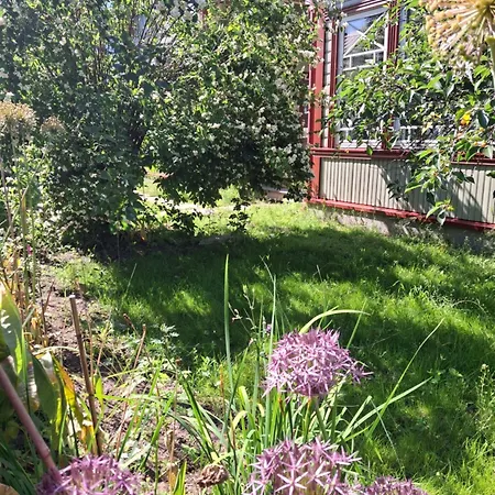 Charming Flat In A Historic Nomme Appartement