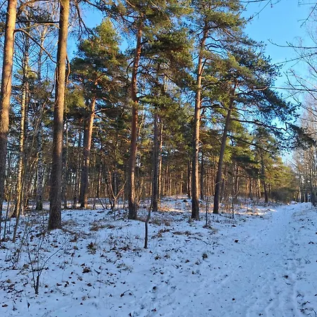 Appartement Manna - Charming Flat In A Historic House