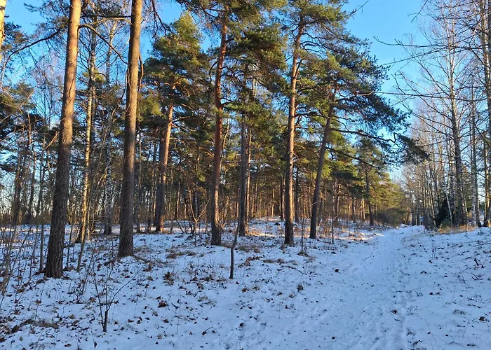 Daire Manna - Charming Flat In A Historic House